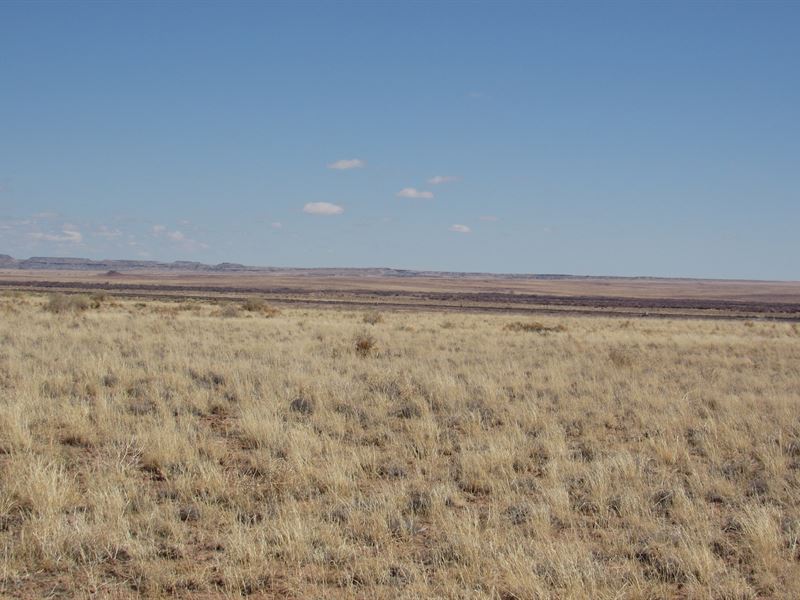 1.25 Acre Off Grid : Holbrook : Navajo County : Arizona