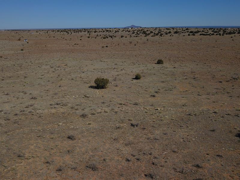 1 Acre Lot with Breathtaking View : Williams : Coconino County : Arizona