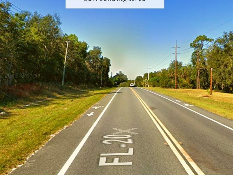 .42 Acres Only $1Dn, $199/Mo : Interlachen : Putnam County : Florida