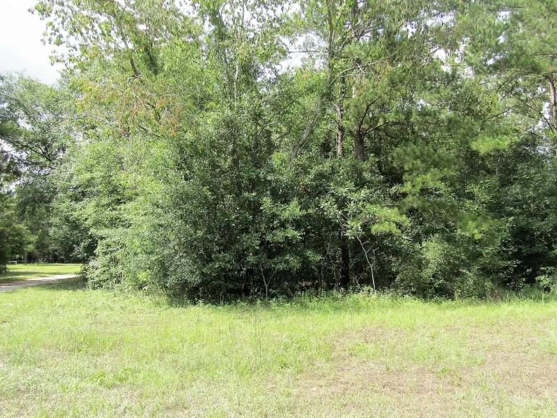 Time To Escape The City : Live Oak : Suwannee County : Florida