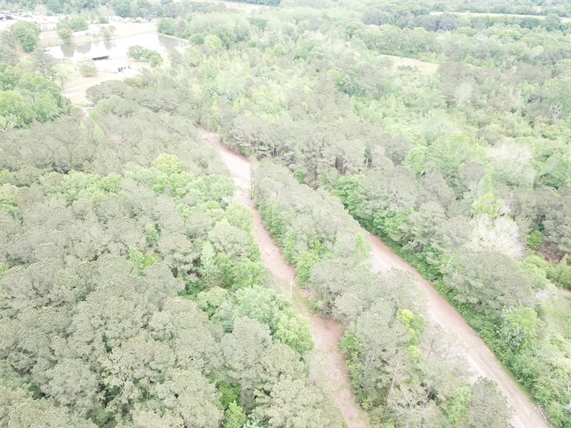 Goodman Home Sites, Parcel F : Goodman : Coffee County : Alabama
