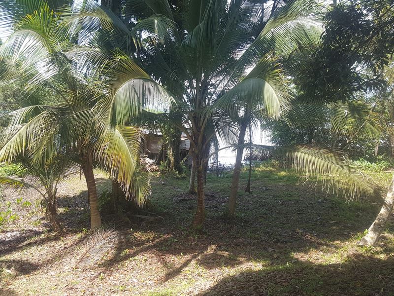 Affordable Waterfront Land, Punta : Panama