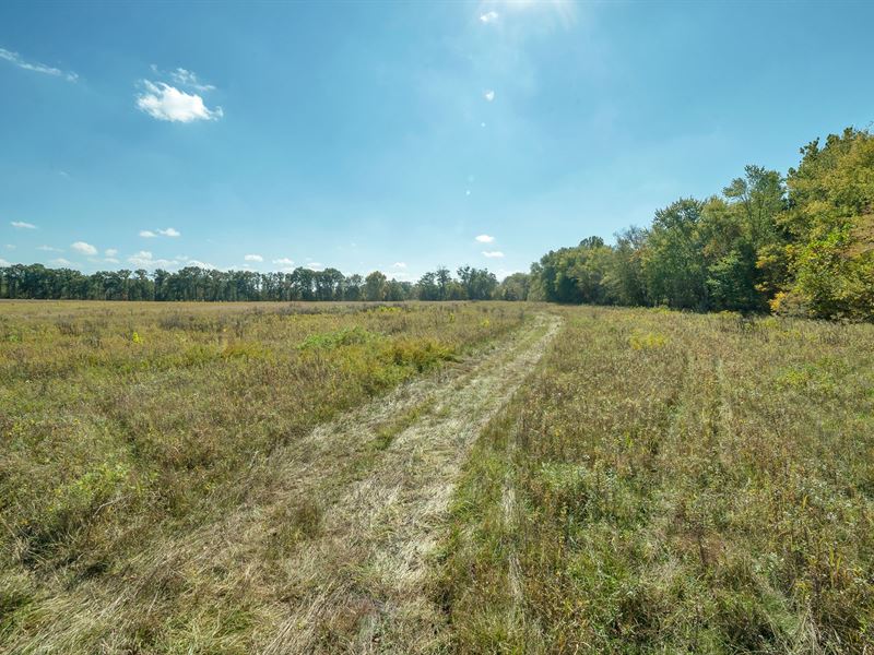 Hunting Farm Crp Income Ralls : Perry : Ralls County : Missouri