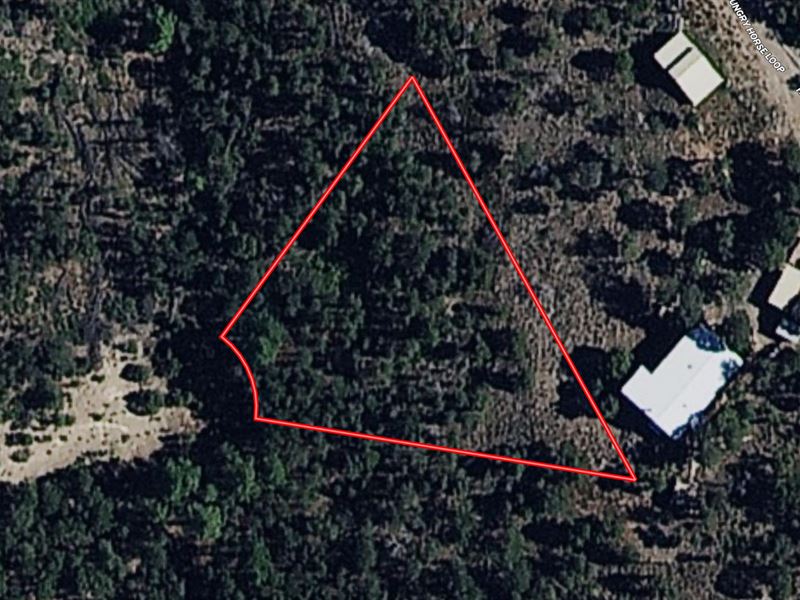 Mountain Land Sacramento Mountains : Timberon : Otero County : New Mexico