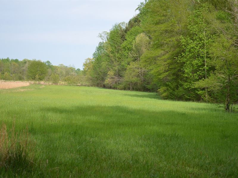 240 Acre, Beautiful Valley Bankhead : Moulton : Lawrence County : Alabama