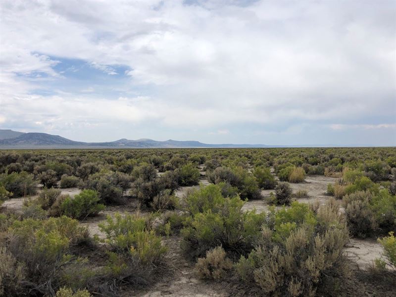 Nevada Recreational Ranch Hunting : Gerlach : Washoe County : Nevada