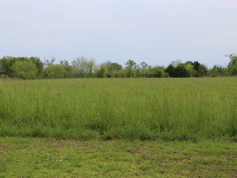 Commercial Lot In Hope Hull : Hope Hull : Montgomery County : Alabama