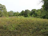 Nice Lot On Woodside Circle : Montgomery : Alabama