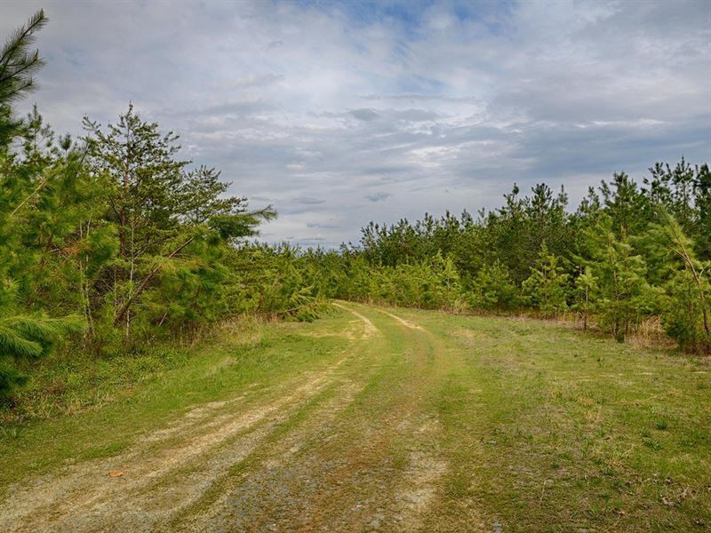 Plain Dealing : Palmyra : Fluvanna County : Virginia