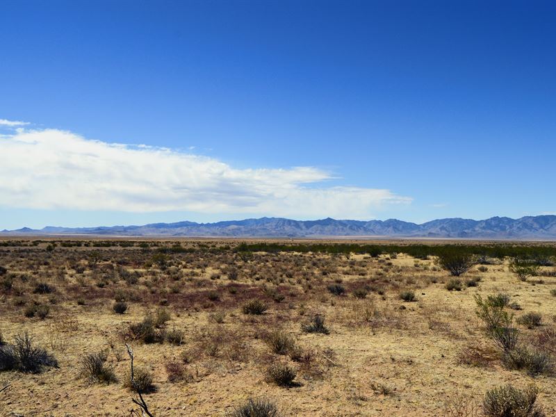 1.70 Acre in Kingman, AZ : Kingman : Mohave County : Arizona