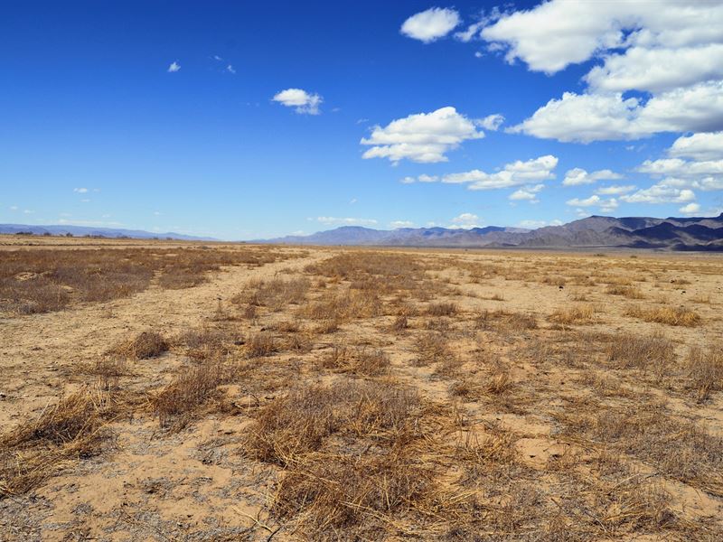 2.42 Acres in Mohave County, AZ : Kingman : Mohave County : Arizona