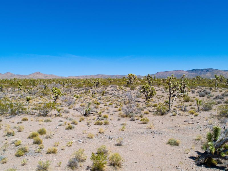 Build Dream Home On 2 Private Acres : White Hills : Mohave County : Arizona