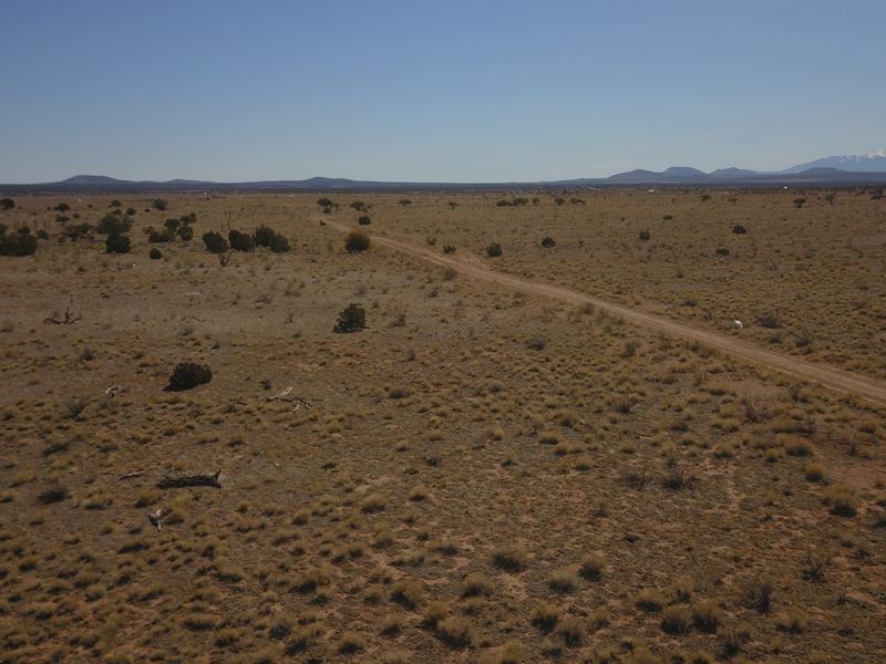 1 Acre Lot in Williams AZ : Williams : Coconino County : Arizona