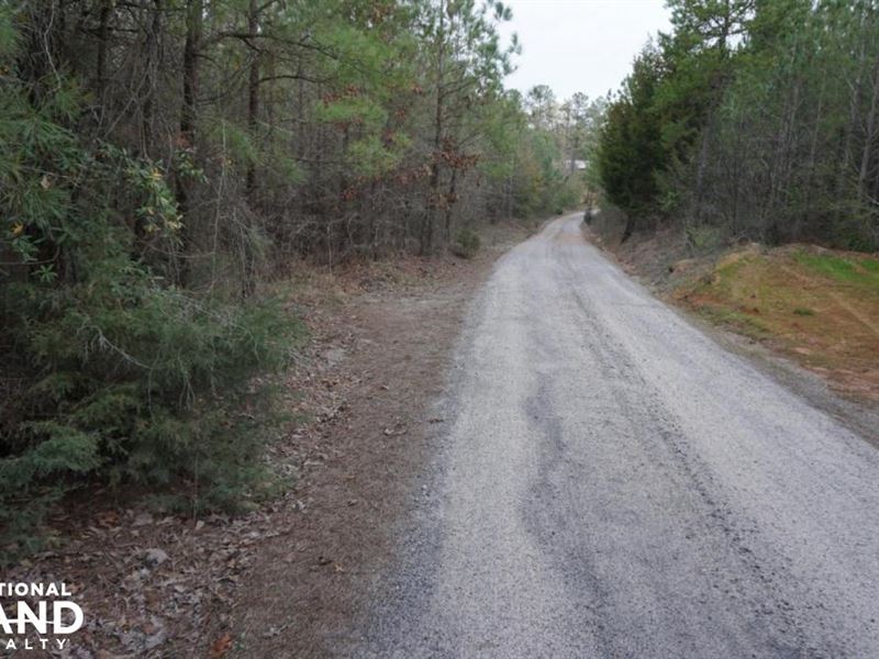 Centreville Timber & Homesite Tract : Centreville : Bibb County : Alabama