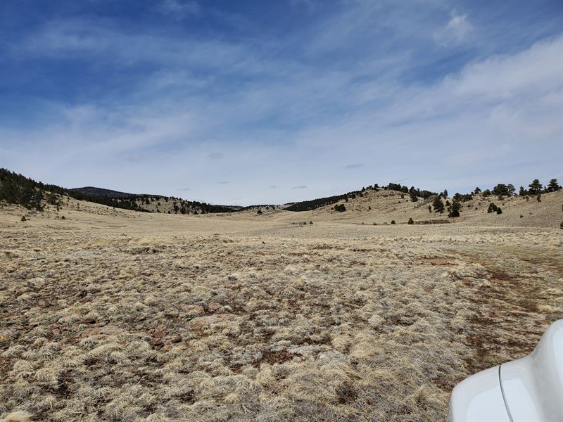 Land, Park County, CO 11 Mile : Guffey : Park County : Colorado