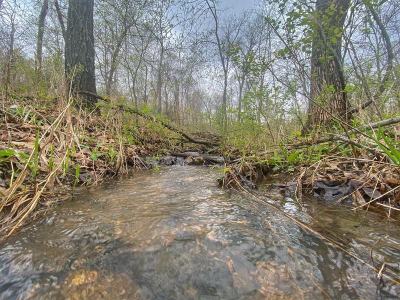 Land for Sale Camden County MO : Climax Springs : Camden County : Missouri