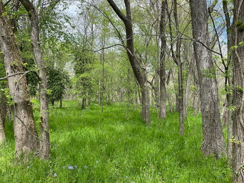 Recreational Hunting Property : Nevada : Vernon County : Missouri