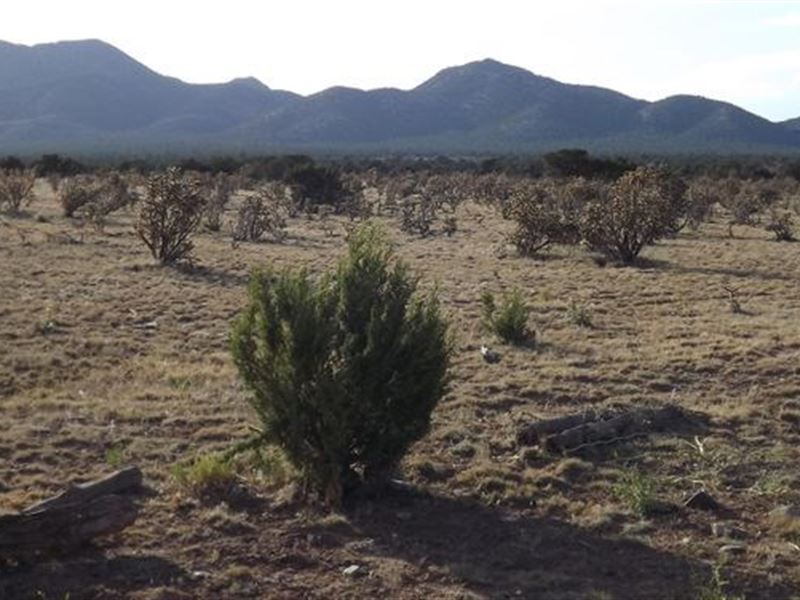 Santa Fe County New Mexico Ranch : Stanley : Santa Fe County : New Mexico
