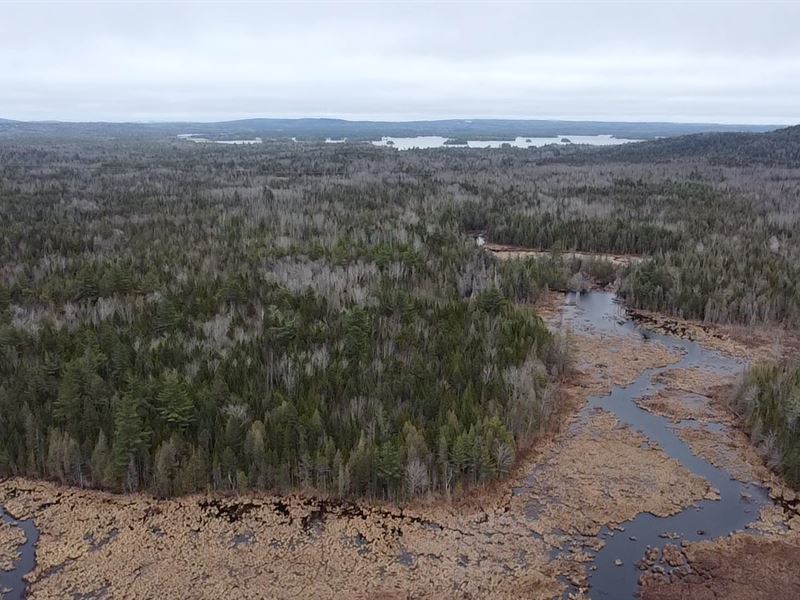 Waterfront Land Washington County : Princeton : Washington County : Maine