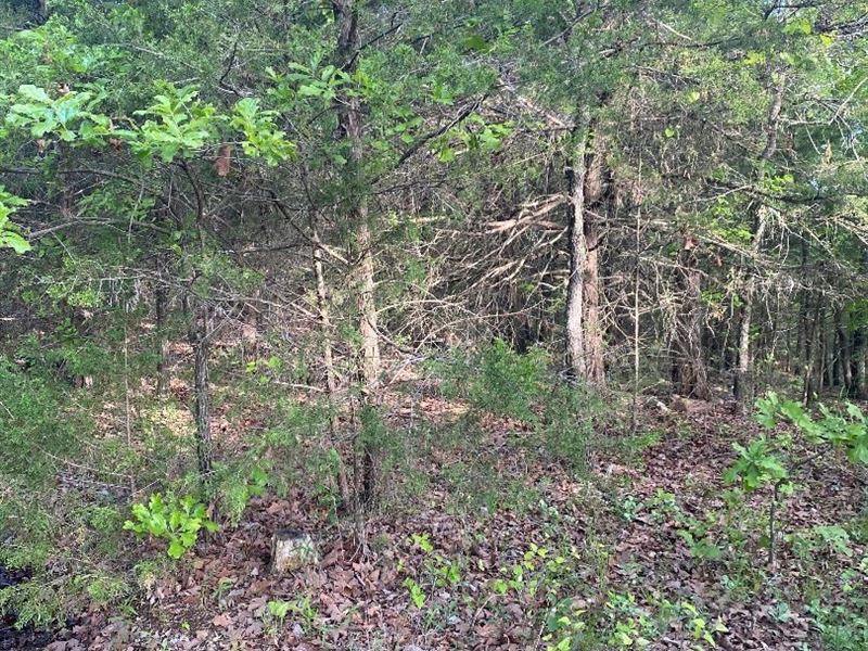 Land for Sale, Wilburton, OK : Wilburton : Latimer County : Oklahoma