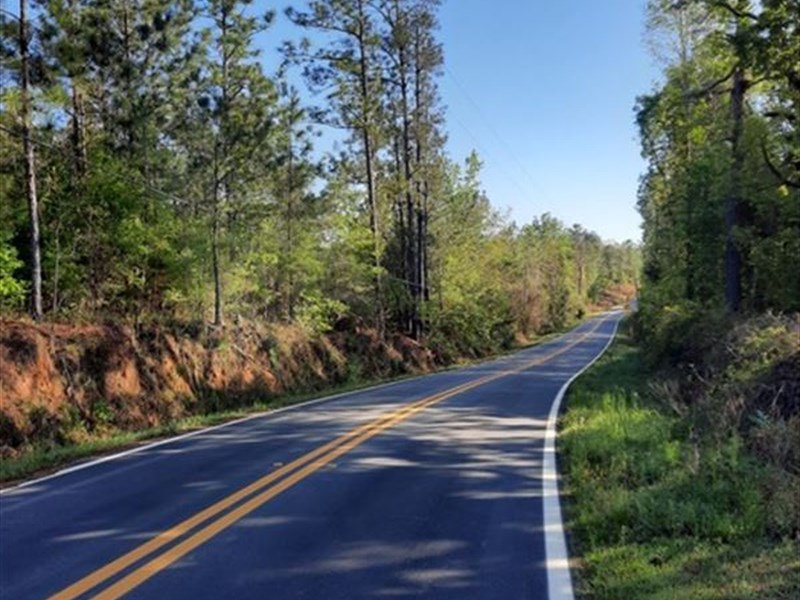 Garnersville Road Tract : Fort Gaines : Clay County : Georgia