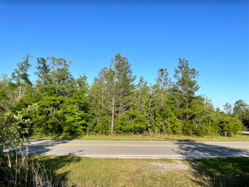 .57 Acre Oasis, Calhoun County : Altha : Calhoun County : Florida