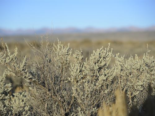 Land For Sale 1 5k Landflip Land For Sale 1 5k Landflip