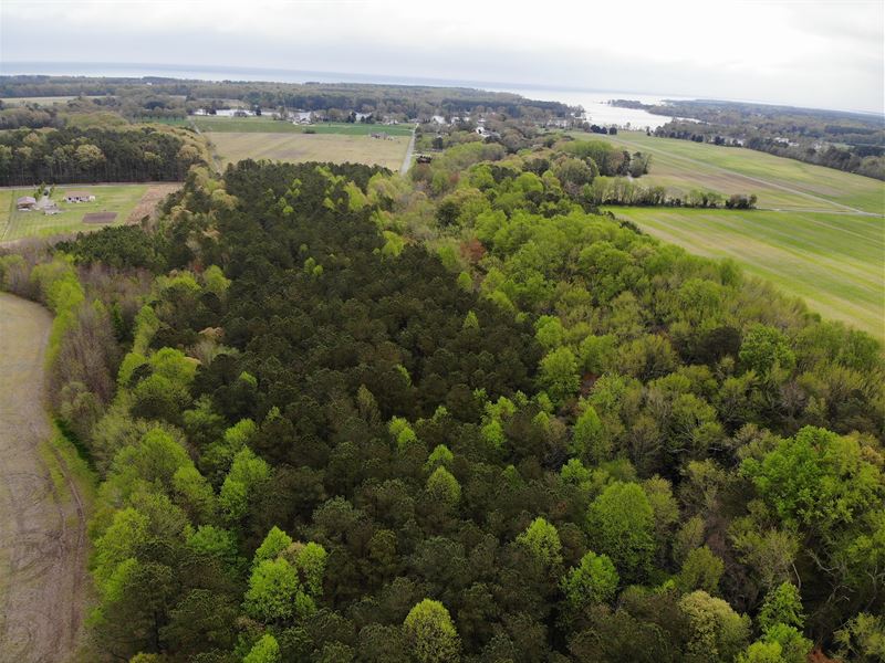 Apple Grove, Northumberland County : Kilmarnock : Northumberland County : Virginia