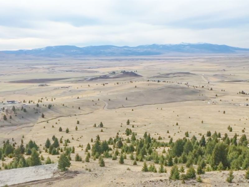 Wild Horse Meadows : Anaconda : Silver Bow County : Montana