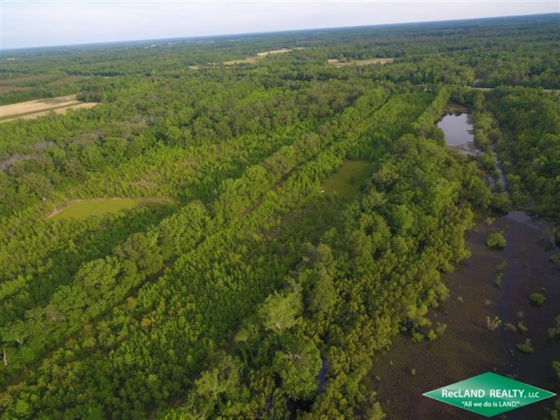 280 Ac, Wrp Hunting Tract with Con : Delhi : Richland Parish : Louisiana