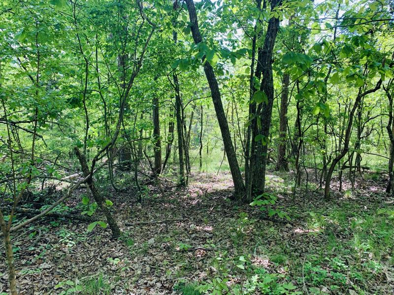 3.13 Acres Cloudland, GA Land for Sale in Menlo, Chattooga County