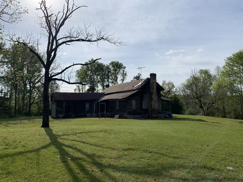 Dogtrot Camp on 92 : Marion : Perry County : Alabama