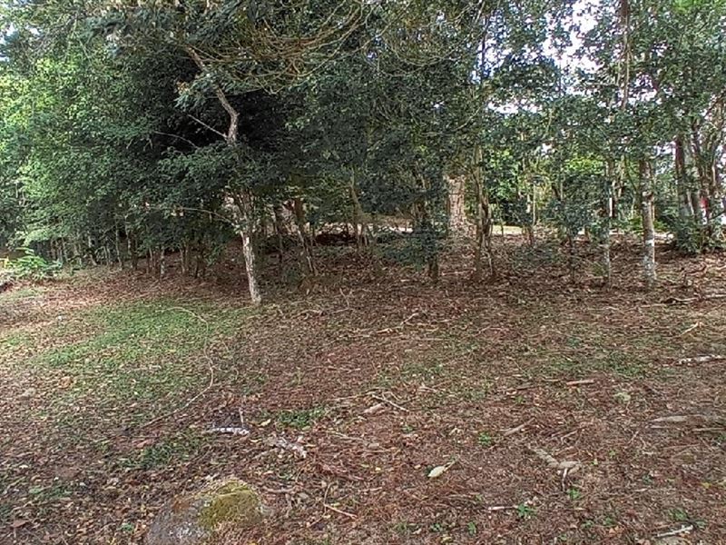 Land El Valle DE Anton Cocle Panama : Panama