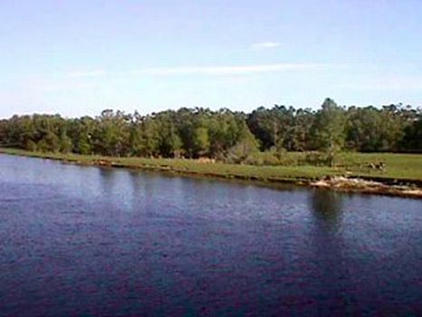 Kissimmee River Property : Lake Wales : Osceola County : Florida