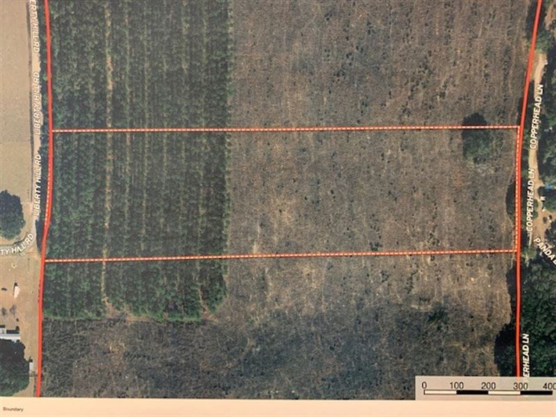 Land in Jackson County, Florida : Bascom : Jackson County : Florida