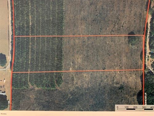 Land in Jackson County, Florida : Bascom : Jackson County : Florida
