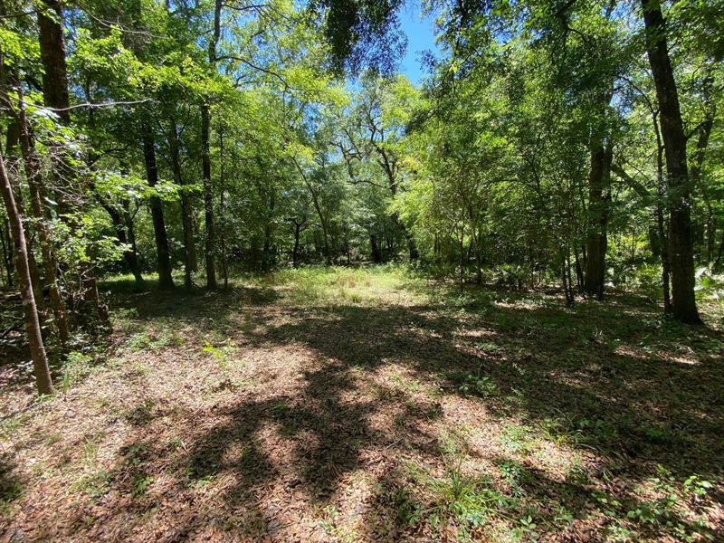 Beautiful 1.9 Ac River Lot Well : Live Oak : Suwannee County : Florida
