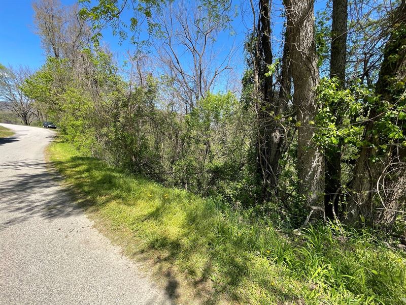 Wooded Lot in Giles County VA : Narrows : Giles County : Virginia