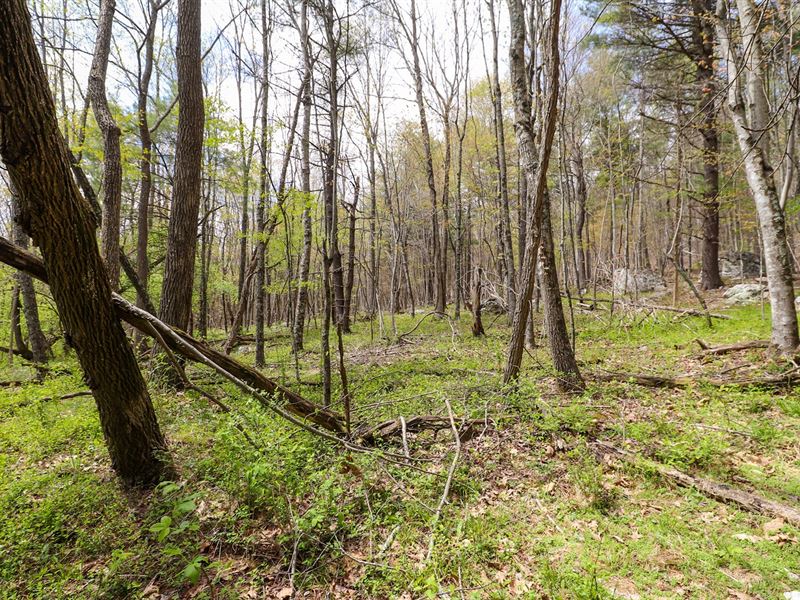Wooded Land for Sale in Riner VA : Riner : Montgomery County : Virginia