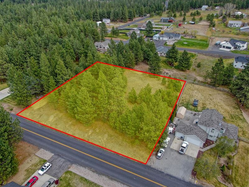 One Acre Lot Ready You to Build : Nine Mile Falls : Stevens County : Washington