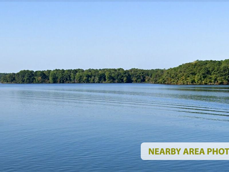 .8 Ac in Erin Shores, GA : East Baldwin : Baldwin County : Georgia