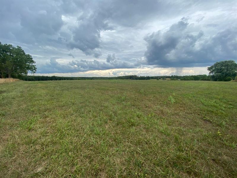 Privacy, Fencing, Hayfield, Hunting : Lynchburg : Wright County : Missouri