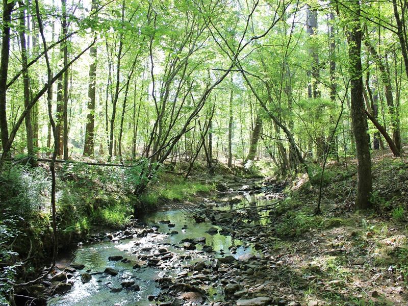 Quiet Getaway 90 Miles From Atlanta : Milledgeville : Baldwin County : Georgia