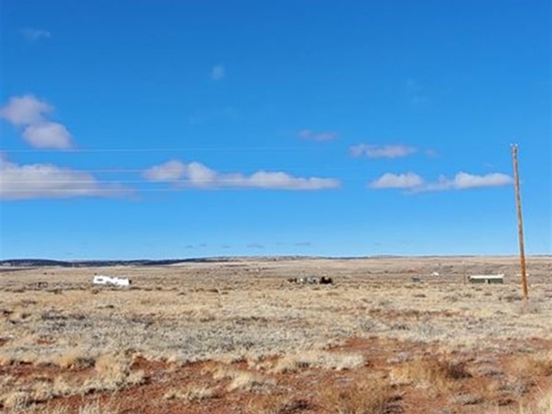 In The Middle of 3 National Forests : Saint Johns : Apache County : Arizona