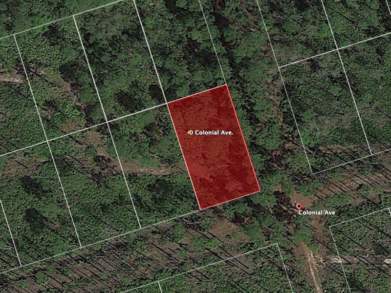 .23 Ac Vacant Lot in Putnam County : Crescent City : Putnam County : Florida