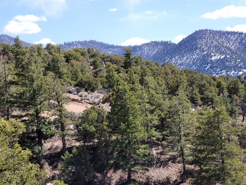 Enjoy The Beautiful Mountains : Fort Garland : Costilla County : Colorado