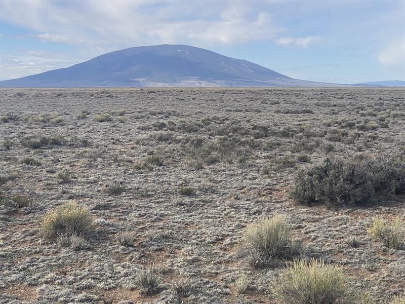 Great Deal on Land Right Here : San Luis : Costilla County : Colorado
