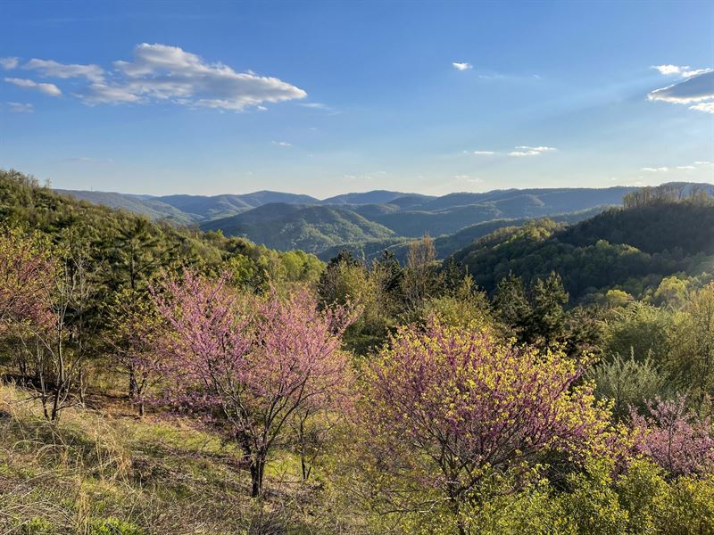 Elk Valley : La Follette : Campbell County : Tennessee