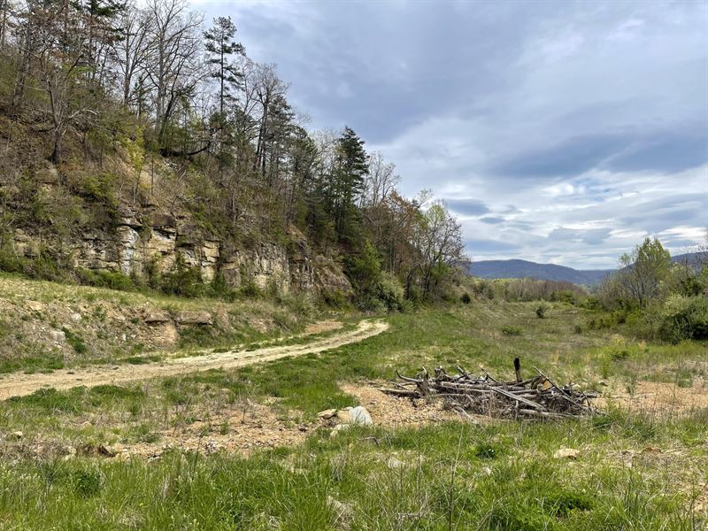 Westbourne Mountain : La Follette : Campbell County : Tennessee