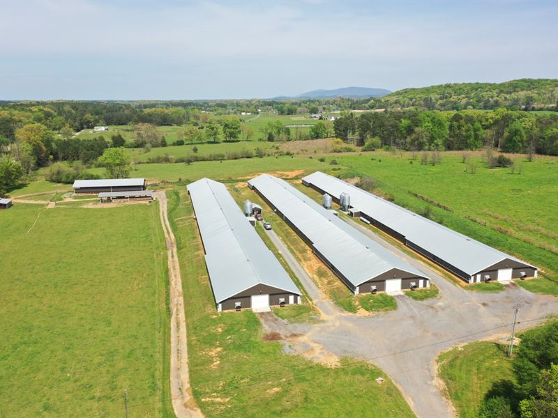 3 House Broiler Farm : Old Fort : Bradley County : Tennessee